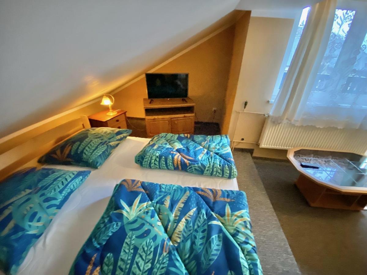 Homestay Goscinne Harnas